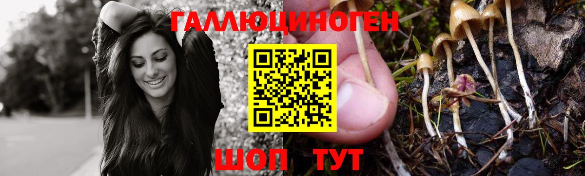 Канаш  Галлюциногенные грибы Magic Shrooms  купить закладку  Вход с VPN 