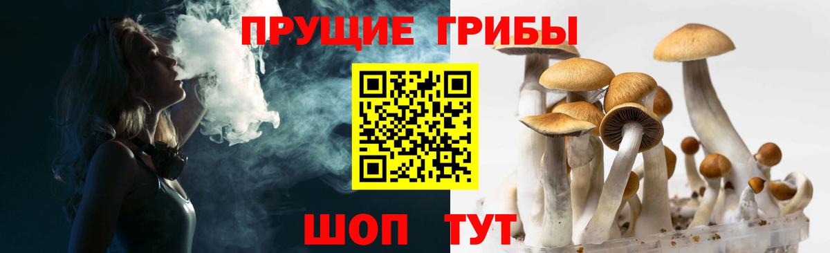 Псилоцибиновые грибы прущие грибы  Канаш  хочу   Псилоцибиновые грибы прущие грибы 