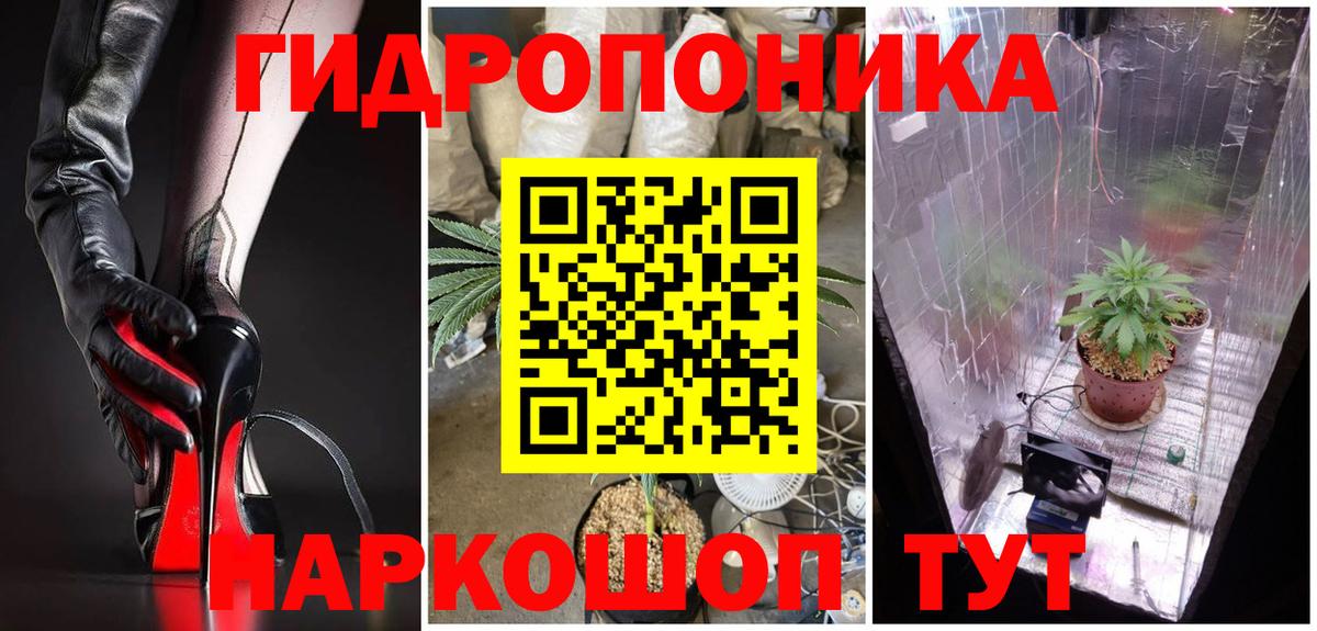 Шишки марихуана гибрид Канаш